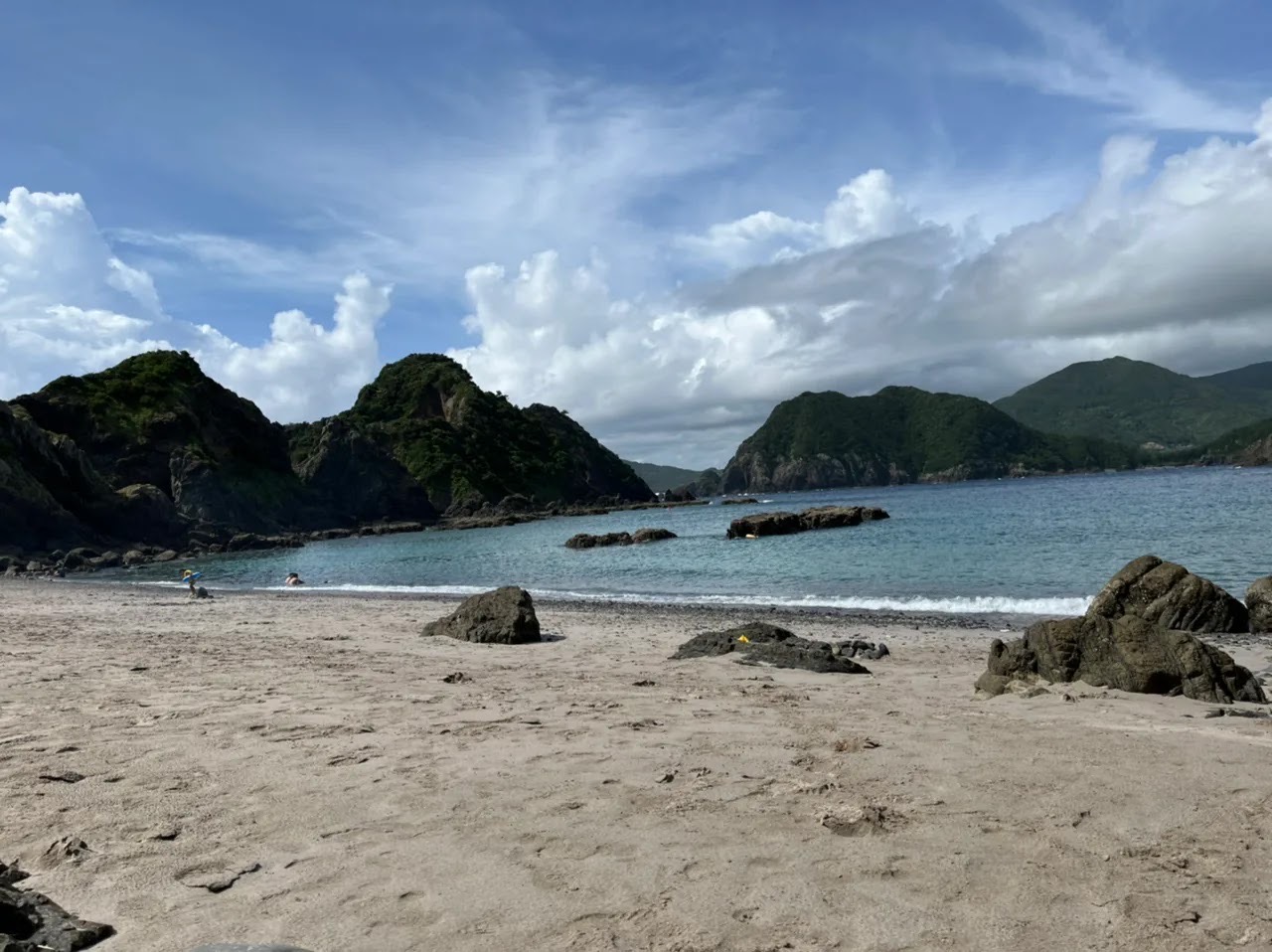 水曜日🐬🐳
